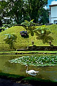 Azzorre - Isola Sao Miguel. Parco Terra Nostra a Furnas.